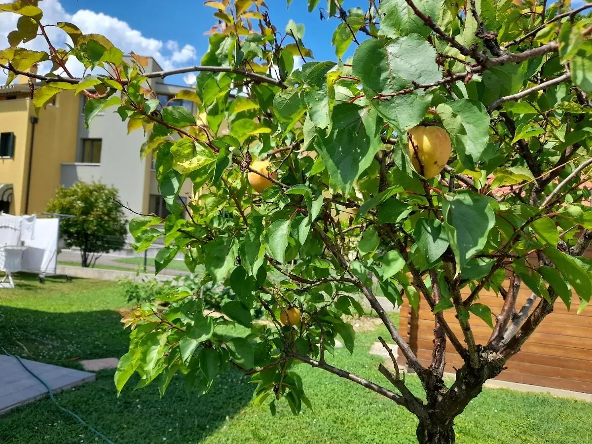 B&B Villa Griselda Quinto Di Treviso 3*,